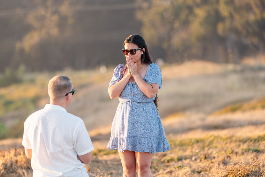 surprise proposal