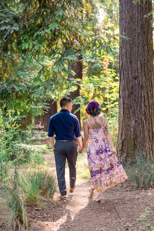 walking through the redwoods