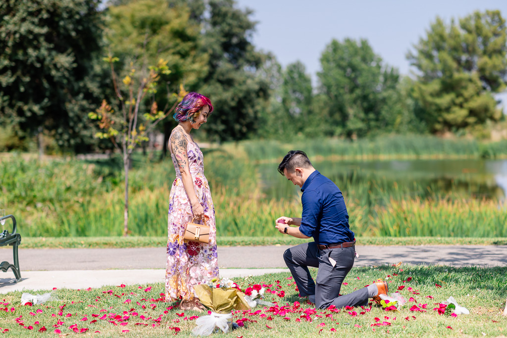 Northstar Park surprise proposal