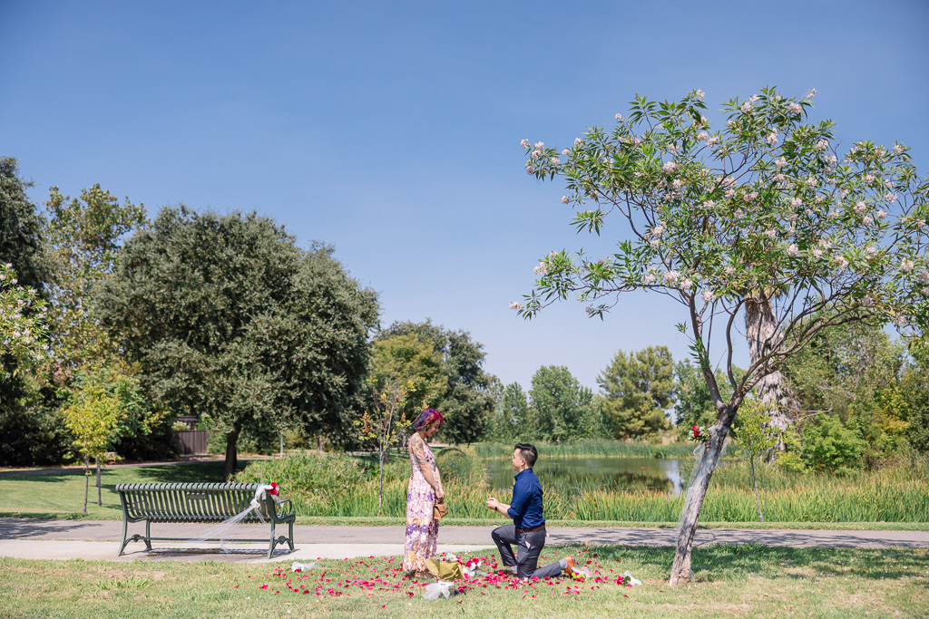 UC Davis surprise proposal at Northstar Park