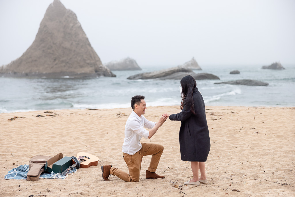 engagement proposal at Martin’s Beach