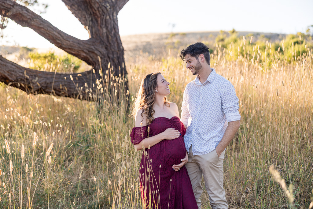 Los Altos Hills maternity photo in golden grassy field at sunset in front of a large tree.