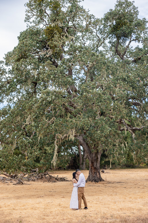 engagement photo in front of large tree