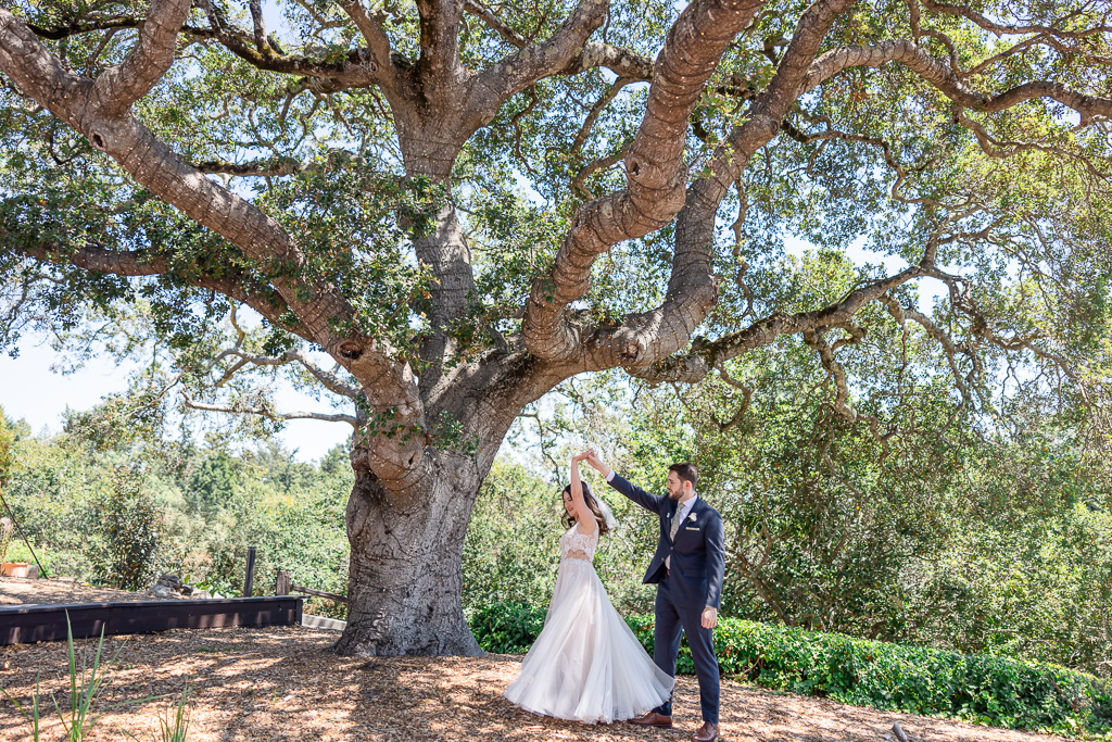 bride and groom dancing under a huge oak tree