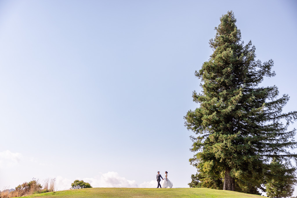 creative faraway wedding photo of the bride and groom at Fairview Crystal Springs