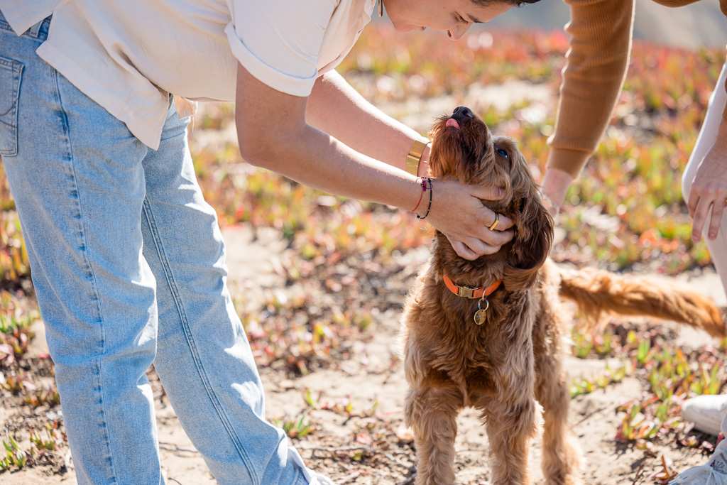 dads petting their dog after getting engaged