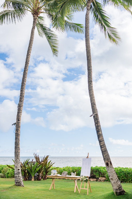 wedding welcome table between two palm trees