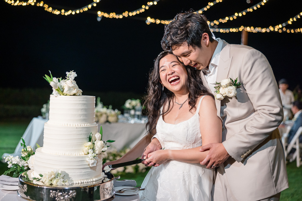 cake cutting