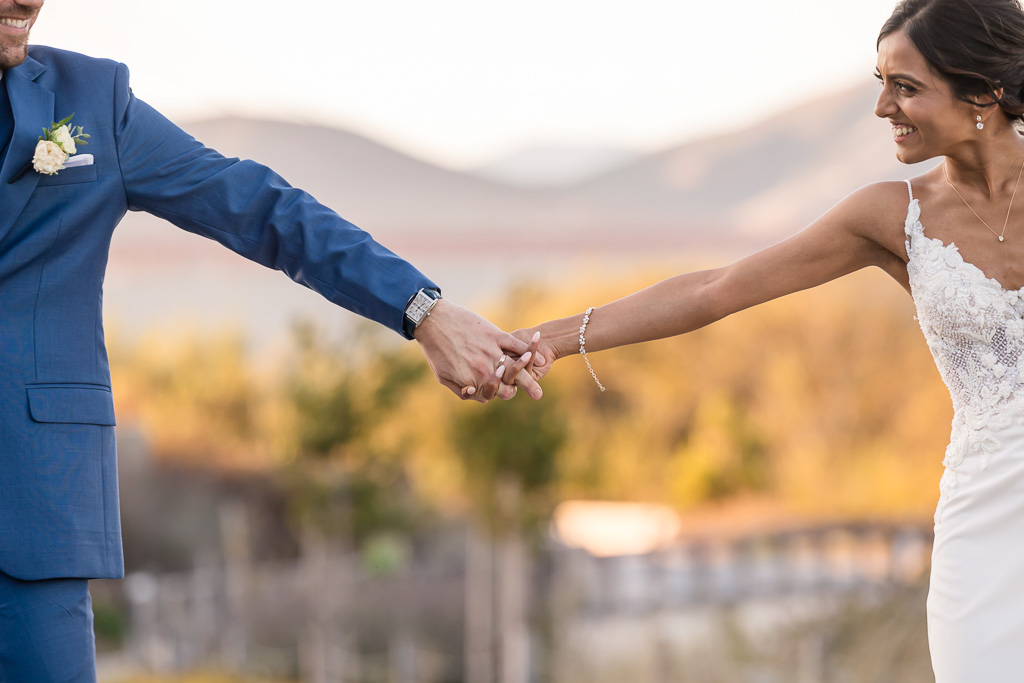 a fun, whimsical close-up photo of the bride and groom holding hands