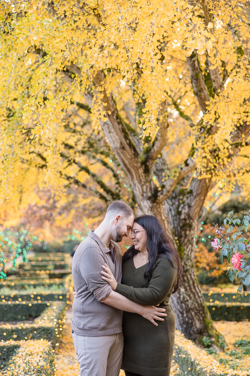 autumn engagement picture at Filoli Gardens with yellow leaves in the background