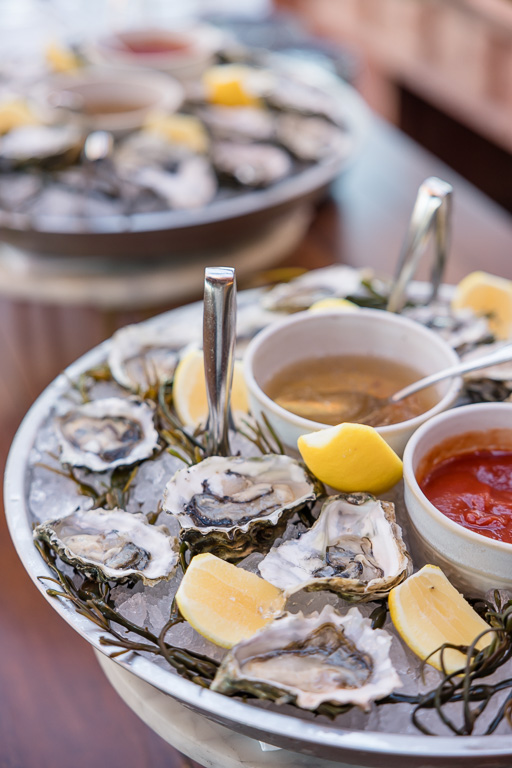 raw oyster appetizers