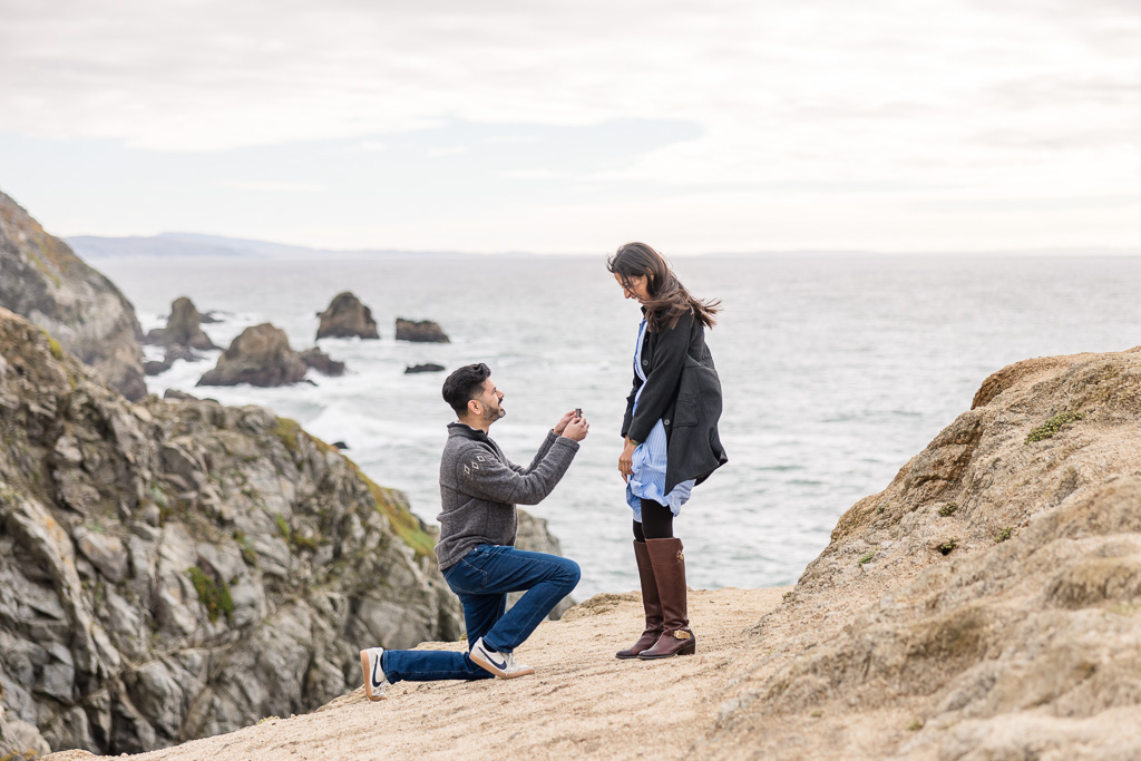 Bodega Head proposal