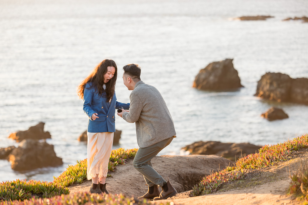 shocked and surprised reaction to surprise marriage proposal