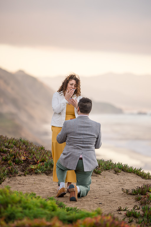 American Sign Language surprise proposal