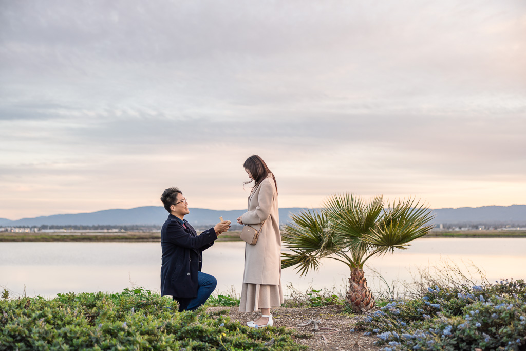 surprise proposal at the Port of Redwood City