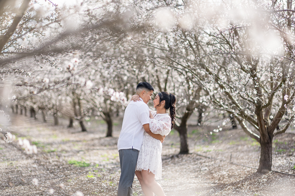 Bay Area almond blossom engagement photos