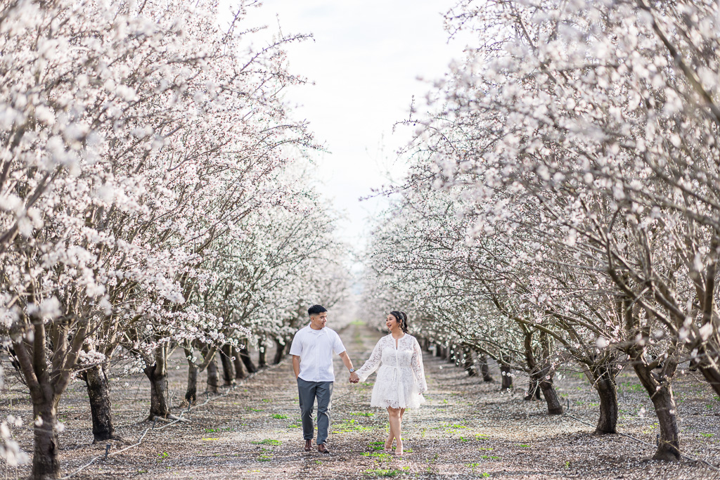 Tracy almond blossom engagement photos