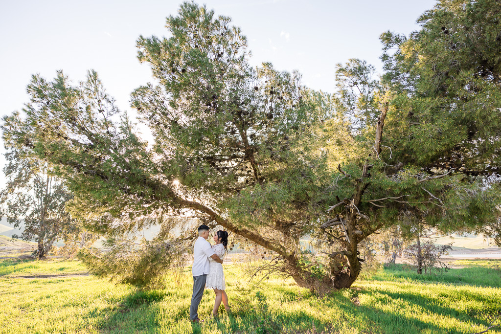 grassy engagement photos