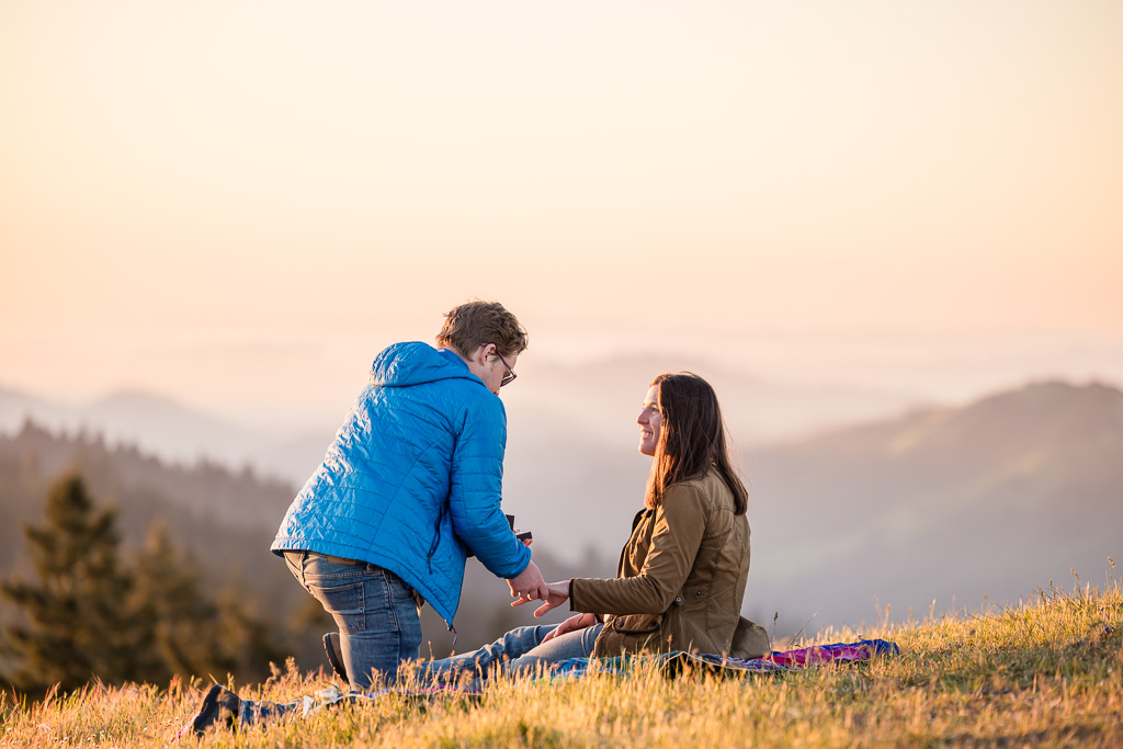 picnic sunset surprise engagement proposal