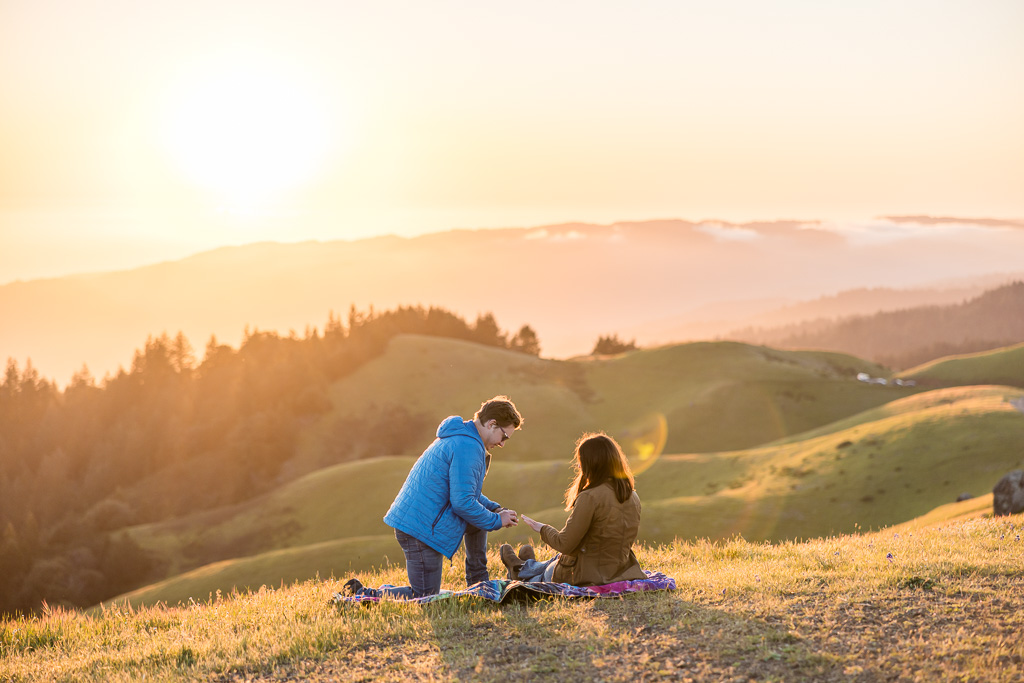 surprise proposal at a picnic sunset
