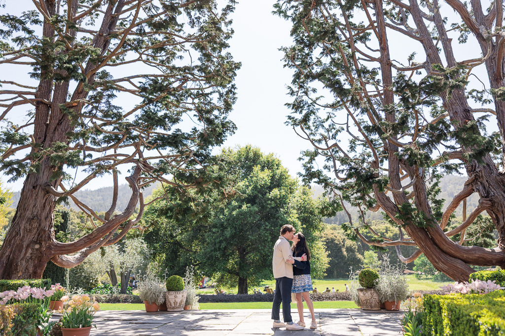 engagement photos at Filoli Gardens in the afternoon