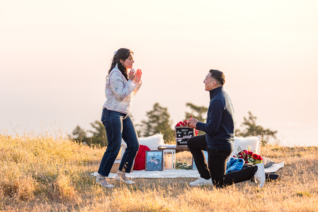 Mount Tamalpais surprise proposal at golden hour with picnic decor