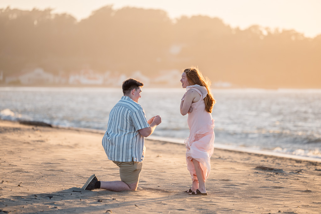 true surprise proposal reaction