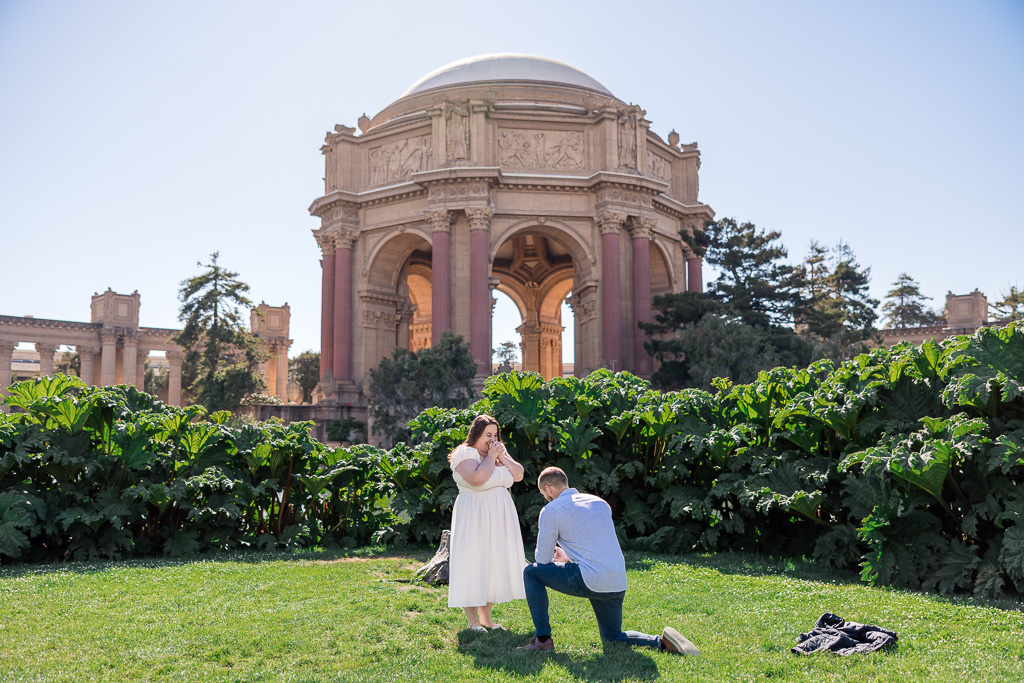 surprise proposal at the Palace of Fine Arts on a sunny day