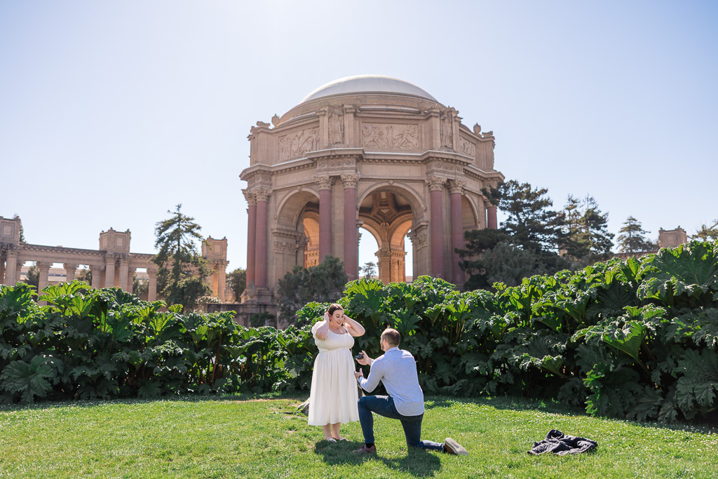 sunny afternoon proposal at the Palace of Fine Arts