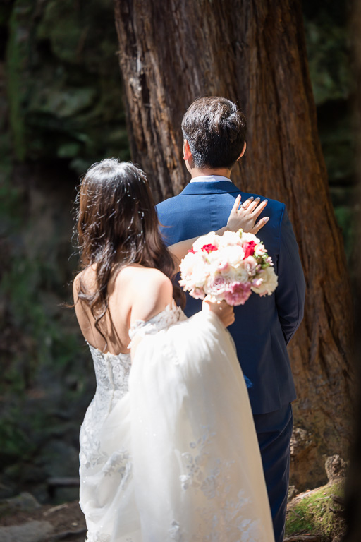 first look in redwood forest