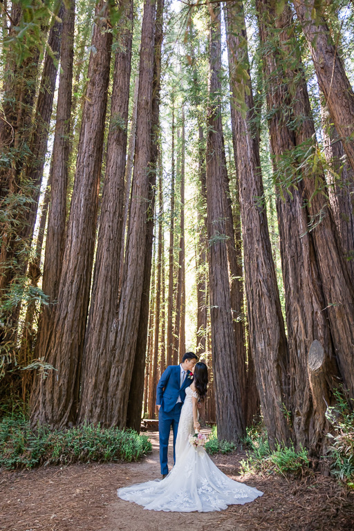 wedding photo of the bride and groom in the tower redwood trees