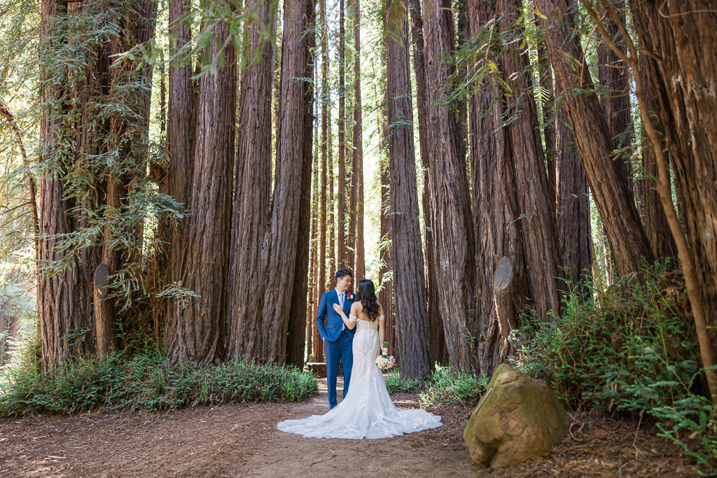 redwood forest wedding photos