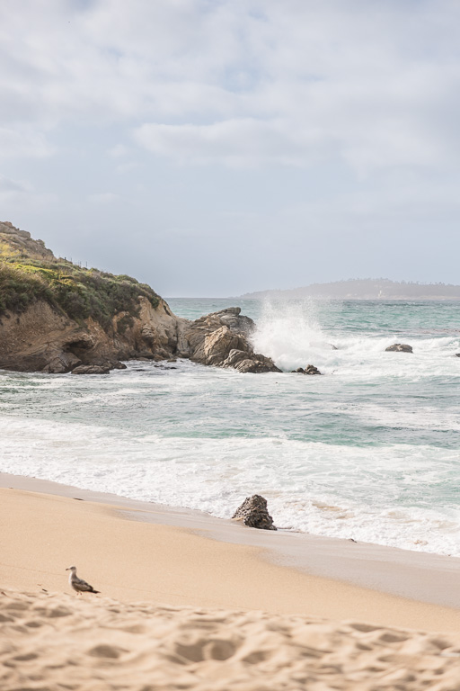 waves crashing against the rocks at Monastery Beach