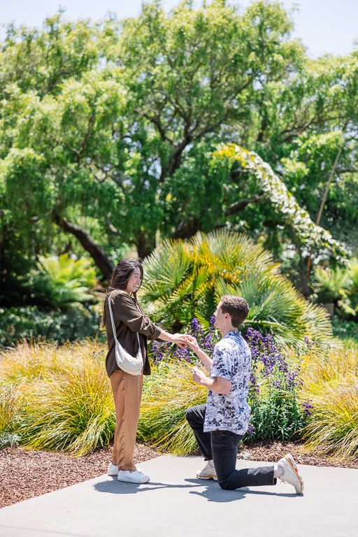 Golden Gate Park garden surprise proposal