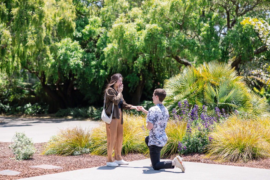 SF Botanical Garden marriage proposal