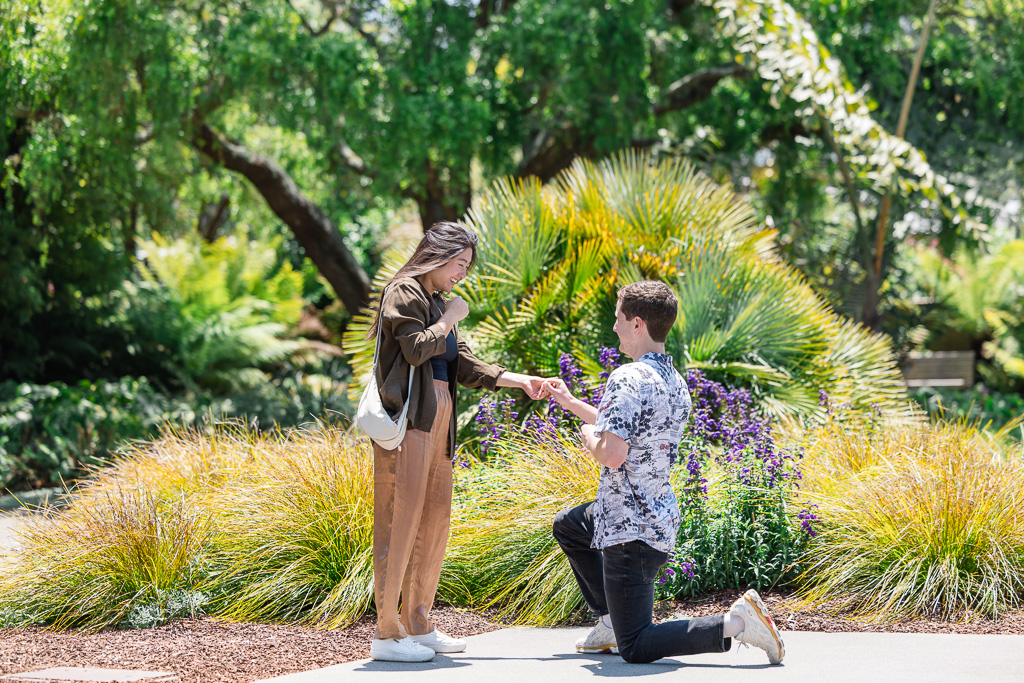 San Francisco Botanical Garden surprise proposal