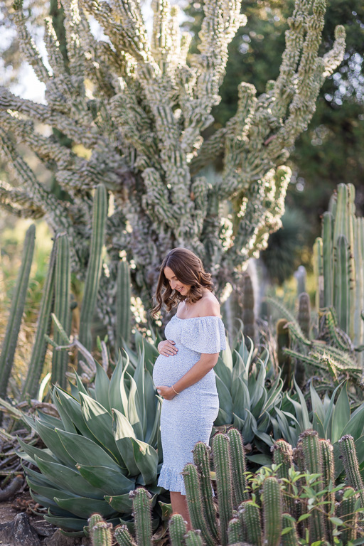 Arizona Cactus Garden maternity shoot