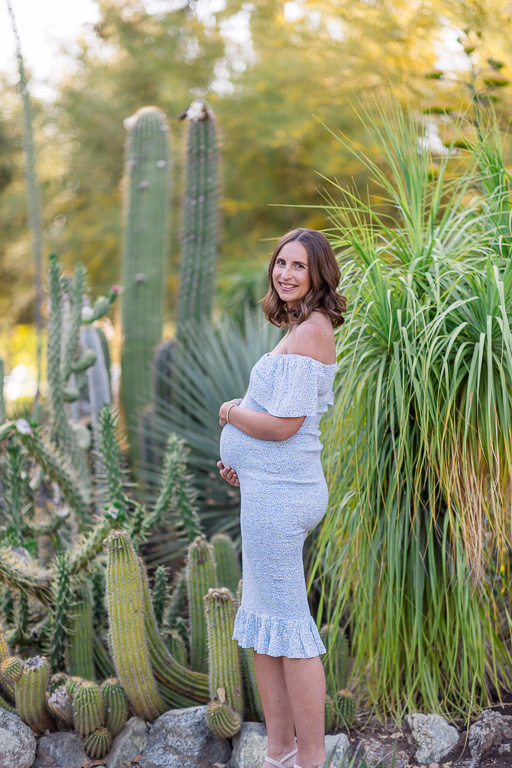 maternity photo at the Arizona Cactus Garden during golden hour