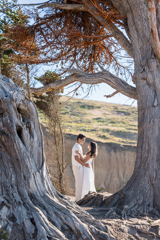 Pacifica engagement photos with trees