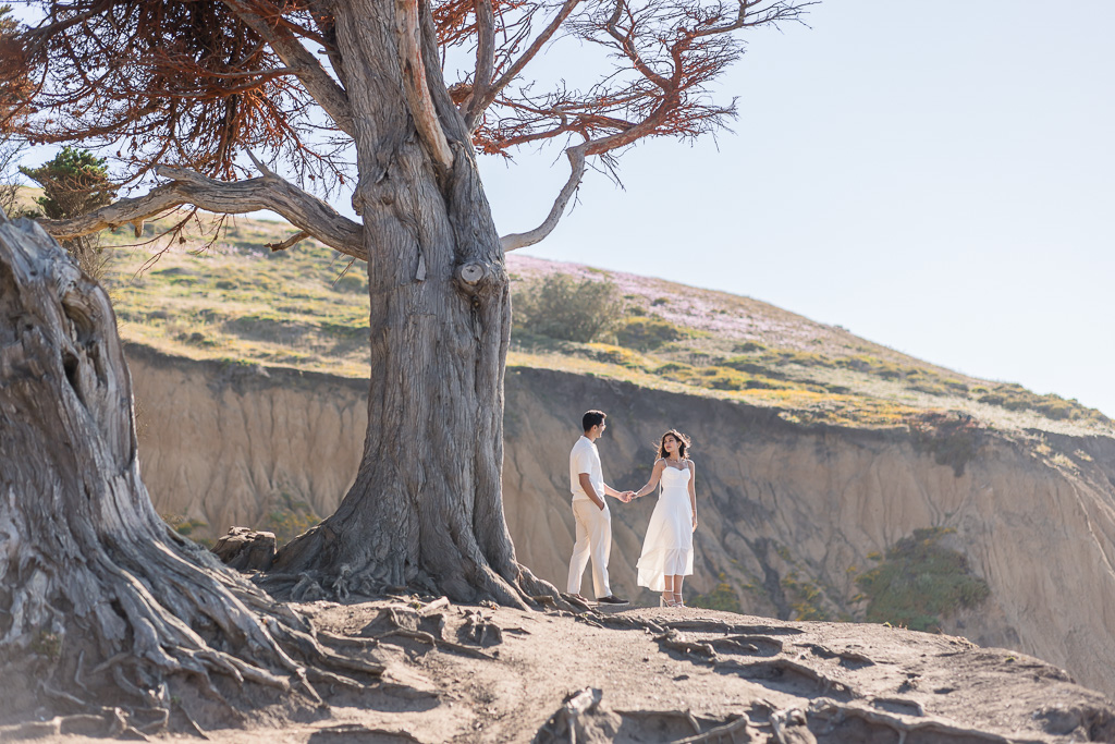 Pacifica Mori Point engagement shoot