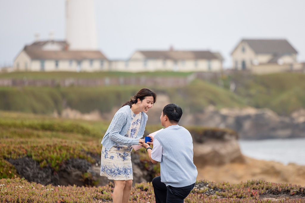 Pescadero lighthouse surprise proposal