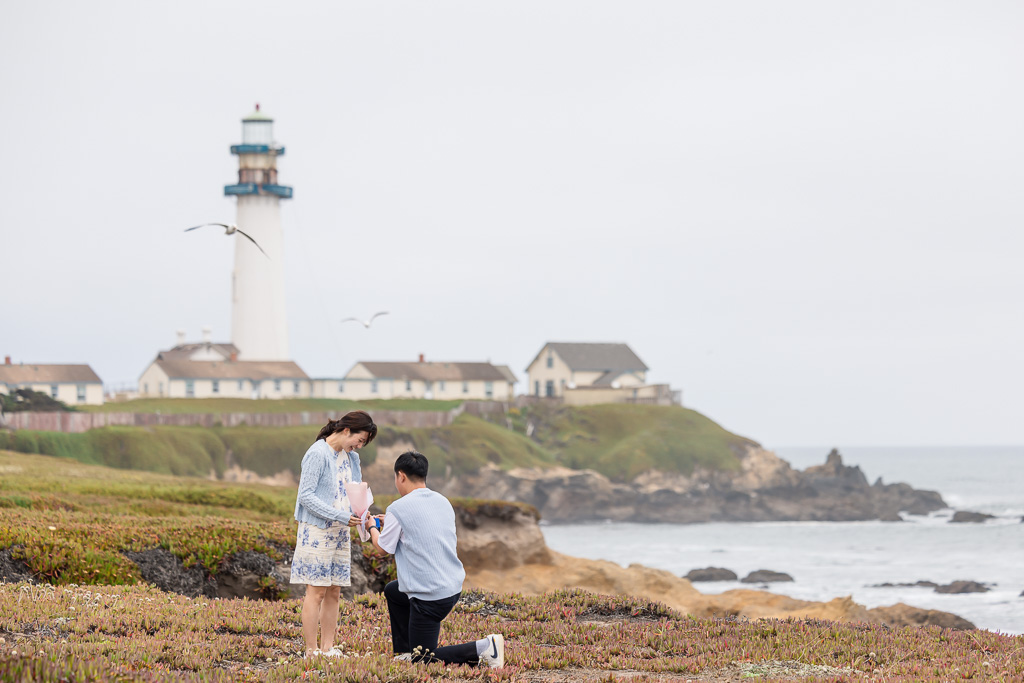 marriage proposal at the Pigeon Point Lighthouse in Pescadero