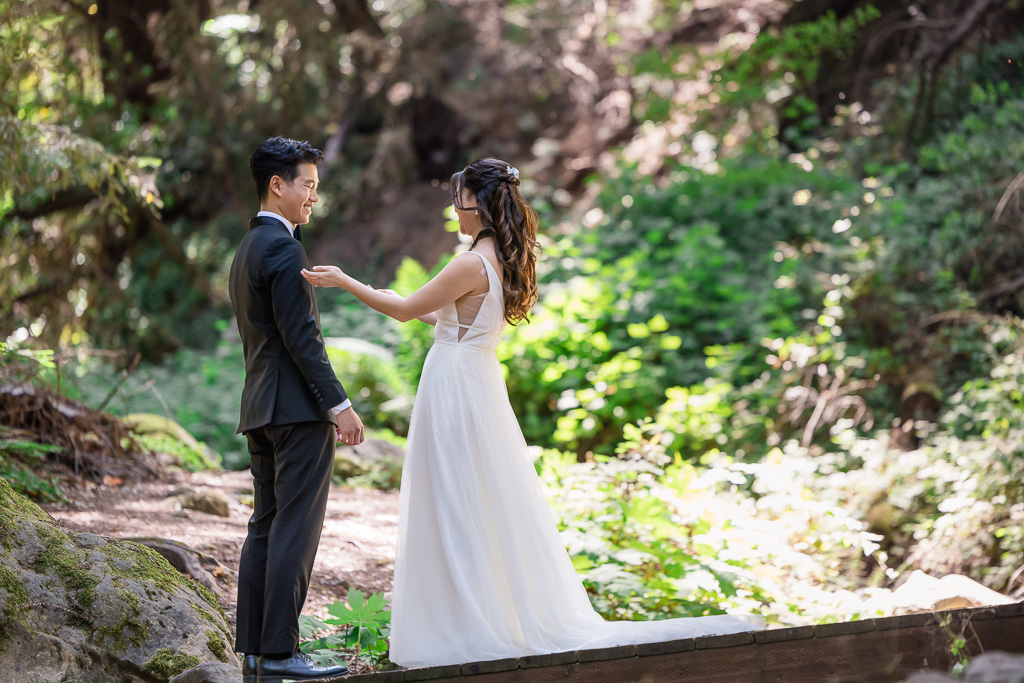 first look on wooden bridge in the woods
