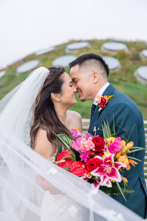 Cal Academy living roof playful wedding photo with veil