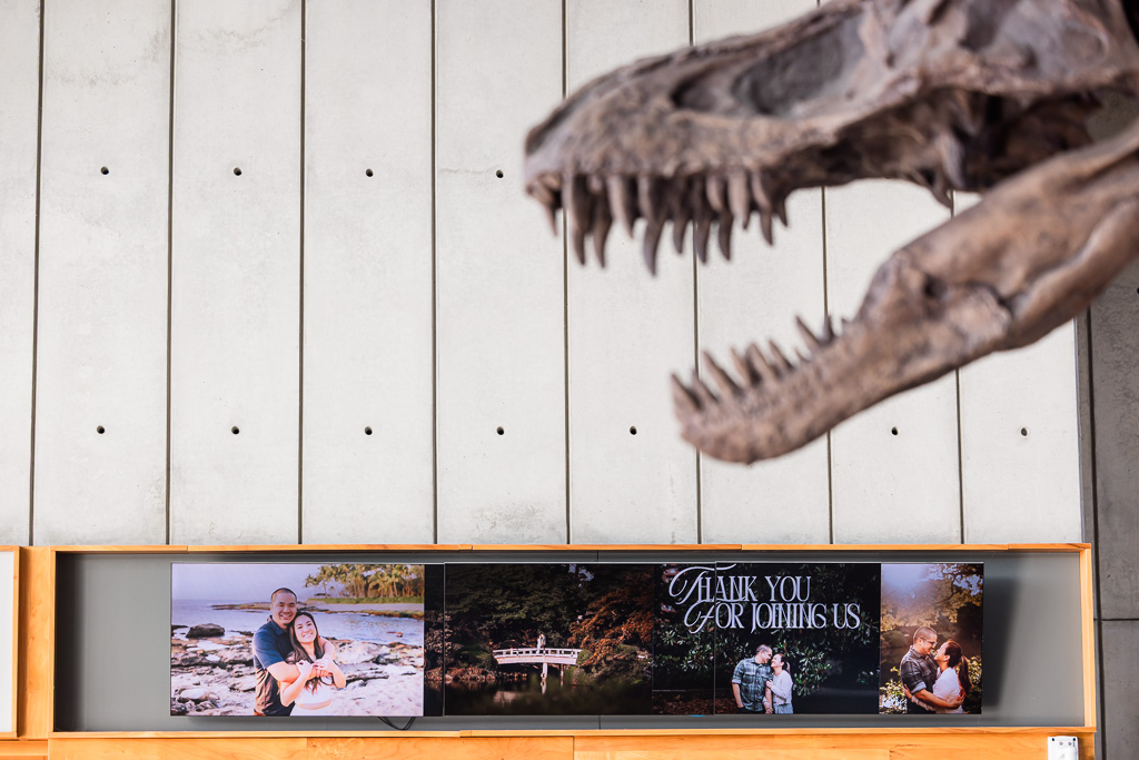 creative photo of the welcome display at Cal Academy with T-Rex skull
