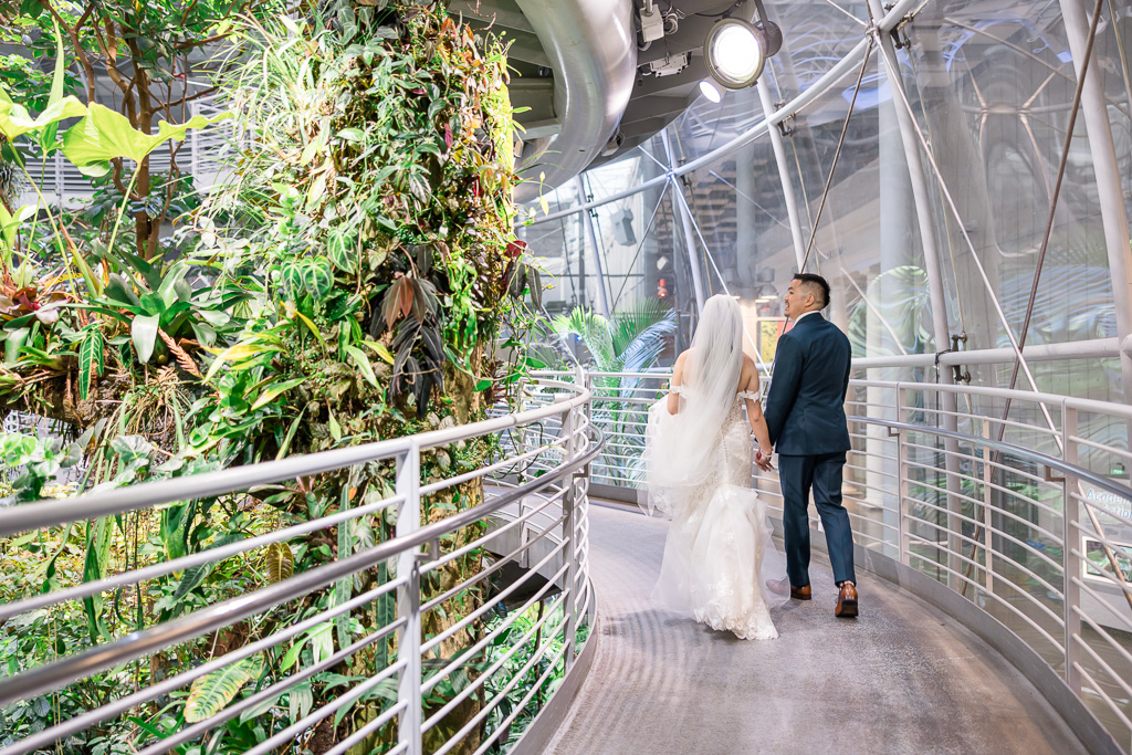 bride and groom on the Cal Academy rainforest spiral walkway