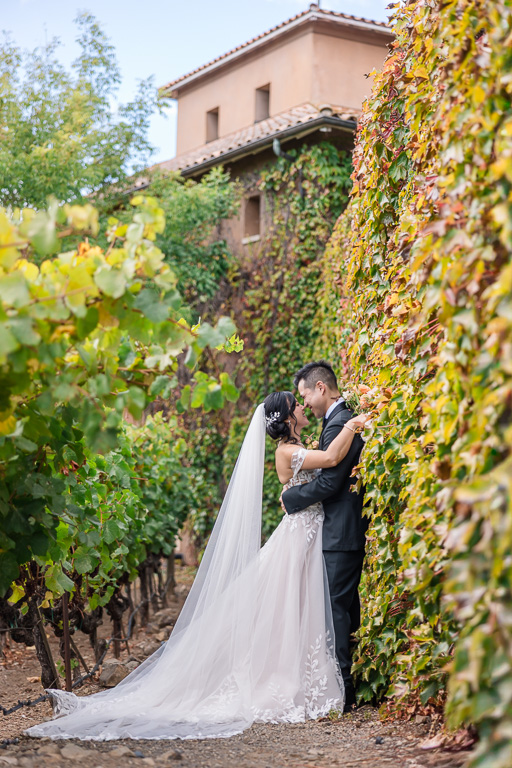 portrait in the vineyards along a wall covered in ivy