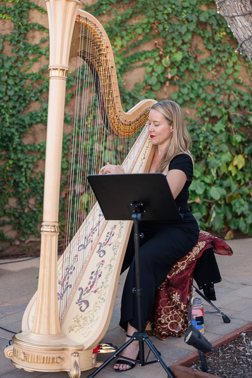 harpist at wedding ceremony