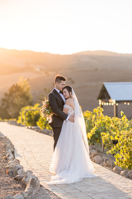 wedding portrait of bride and groom during golden hour at Viansa winery