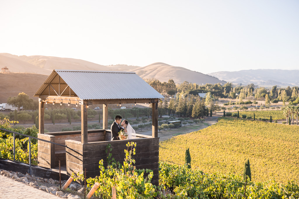 golden hour sunset portraits above the vineyards at Viansa